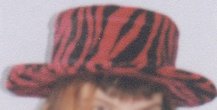 canotier tigre
